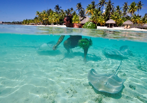 四季渡假村內享用度假設施