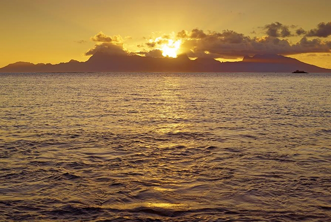 及Day8 帕比堤機場→東京轉機→台北