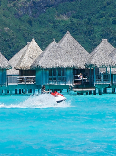 大溪地旅遊-出海觀鯊