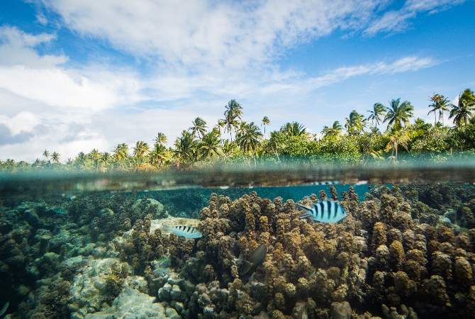香草之島 4X4 環島探索→自由步行前往珊瑚花園放流浮潛→渡假村內晚餐