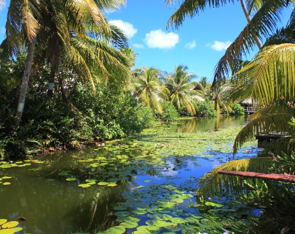 伊甸園之島-Huahine