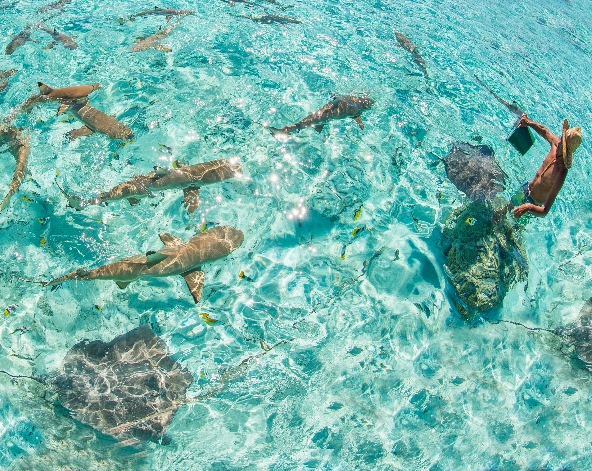 太平洋上的明珠-BORABORA